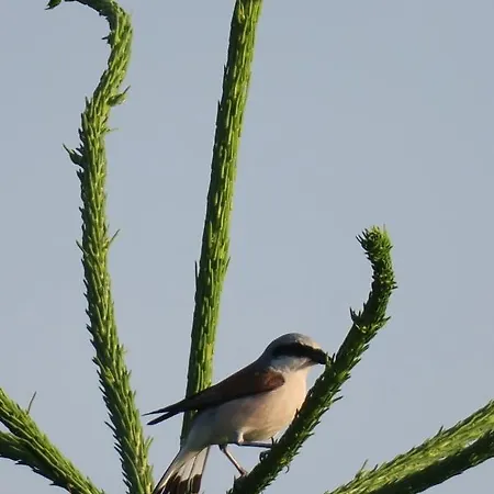 Ard'envie Vakantiewoning - B&B 호우팔리제