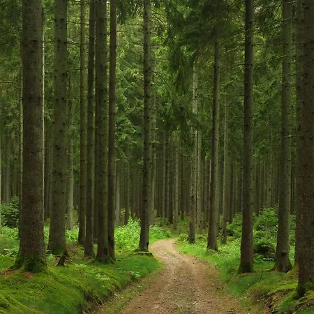 Ard'envie Vakantiewoning - B&B *