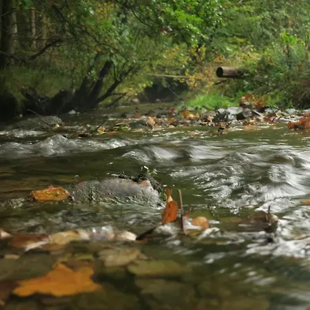 Ard'envie Vakantiewoning - *