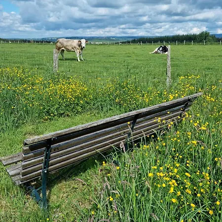 Ard'envie Vakantiewoning - *