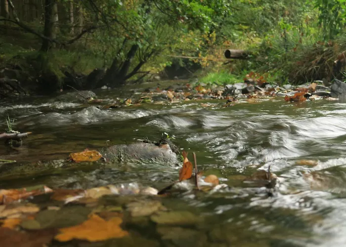 Ard'envie Vakantiewoning - *