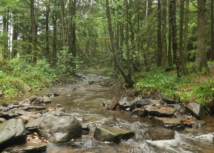 Frühstückspension Ard'envie Vakantiewoning - Houffalize
