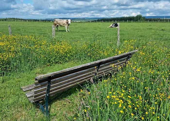 Ard'envie Vakantiewoning - *